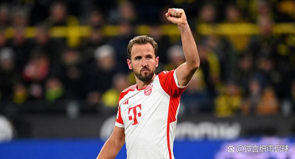 开云体育登录-以色列飞翔前锋荣耀，梅开二度大胜德甲豪门的简单介绍