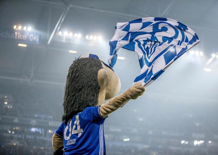 沙尔克客场战平科隆，保持排名稳定的简单介绍