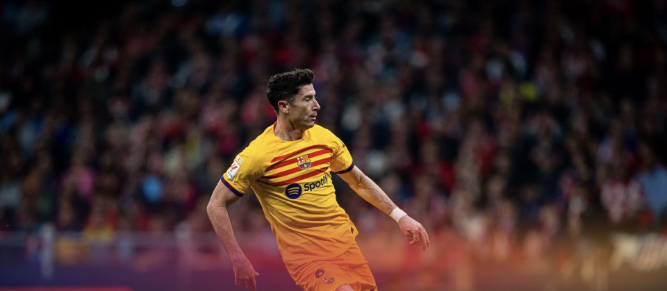 德国队士气高昂，莱万多夫斯基助攻，波兰夺冠瞄准的简单介绍