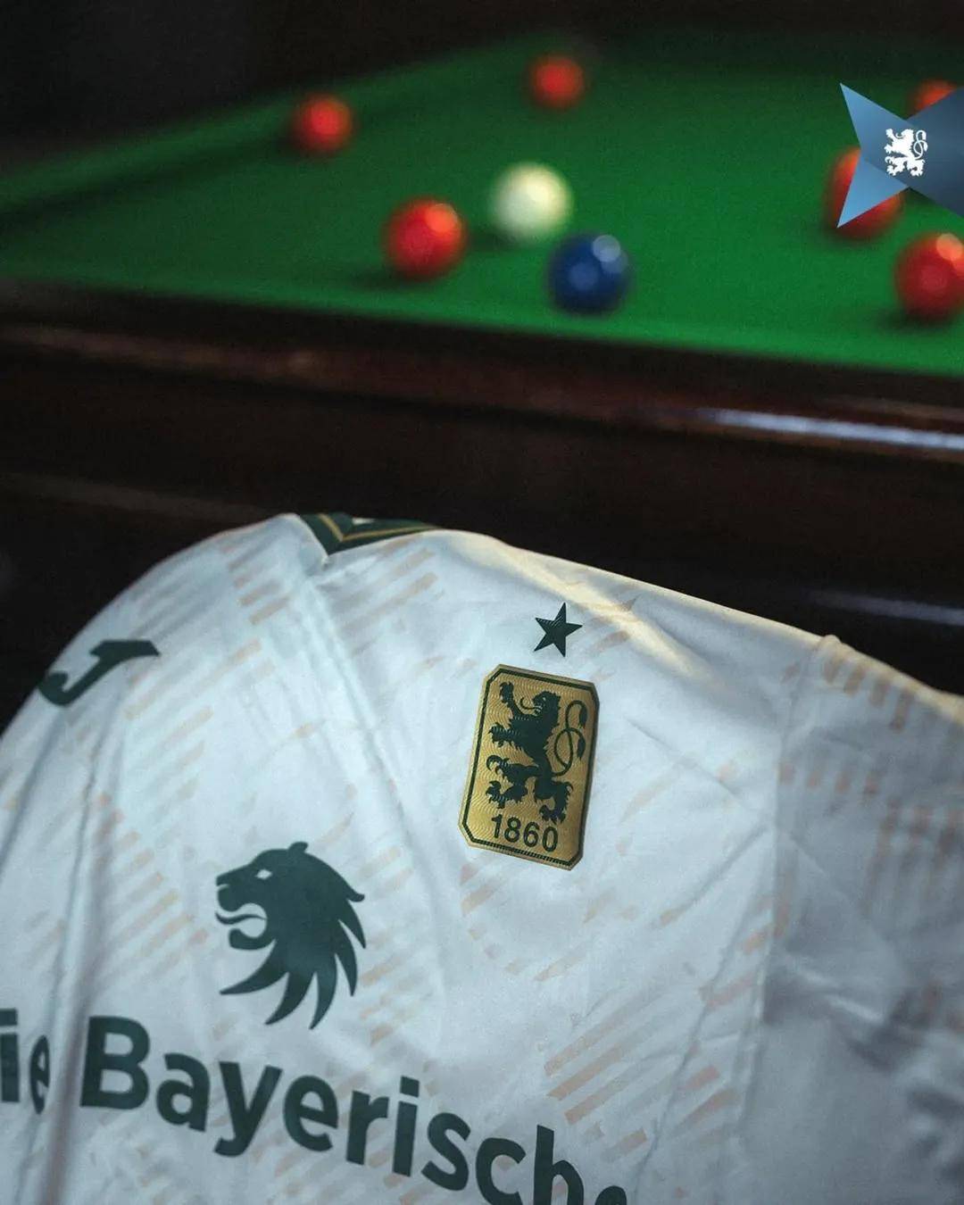 开云体育官网-慕尼黑1860主场失利，跌入降级区