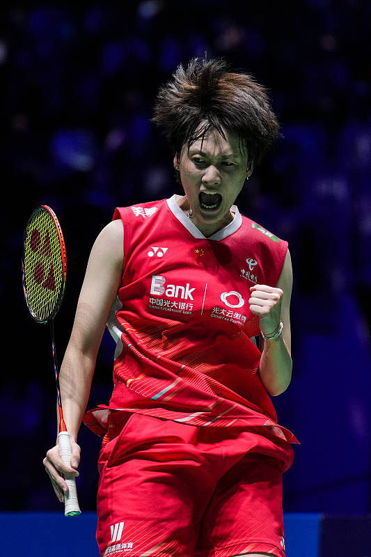 法国队鏖战韩国队，戴资颖刷新纪录的简单介绍