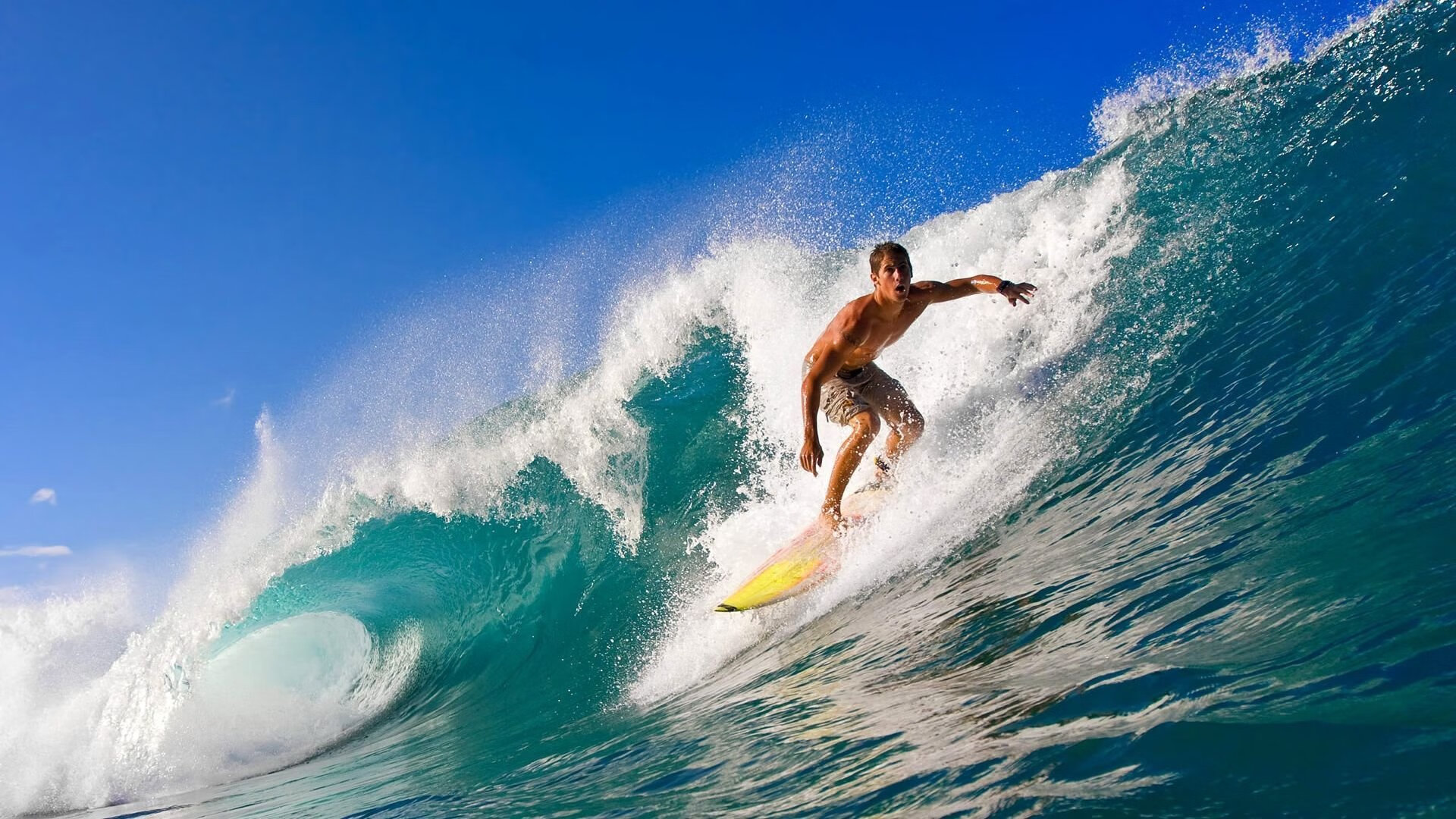 开云体育app-孤勇的狂欢与团队的涅槃，体育史诗中的小与大